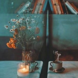 Meet your Posher, Denisse